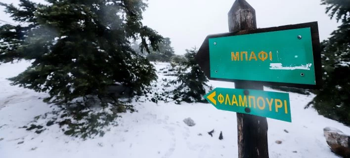 Χιονίζει στην Πάρνηθα -Κλειστός ο δρόμος από το τελεφερίκ και πάνω